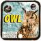 WICKED OWLS - MEGA MARBLES - MEGA MARBLES 24+1 (2009-2013) (FACE)